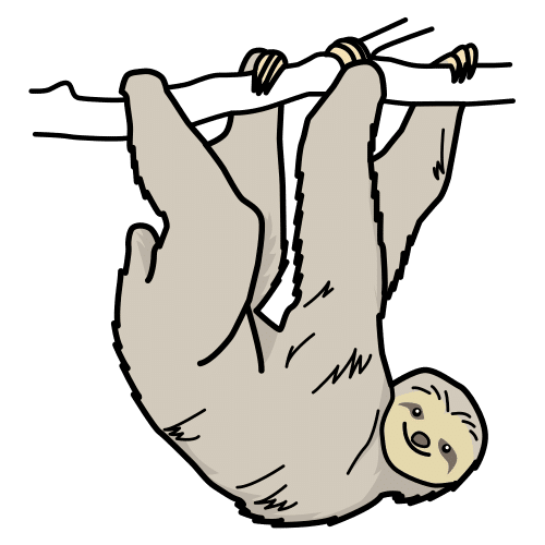 sloth
