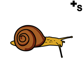 snails