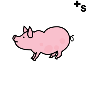 bacon, pigs