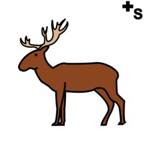 deers