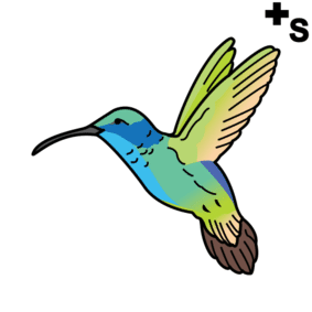 hummingbirds