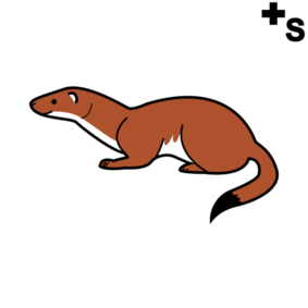 weasels