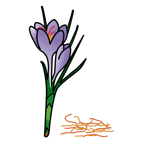 azafrÃ¡n