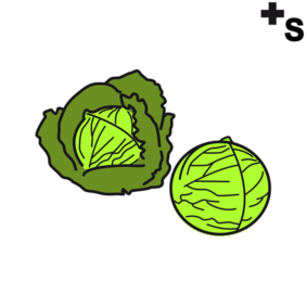 Brussels sprouts