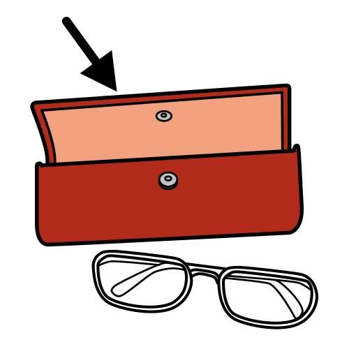 glasses case