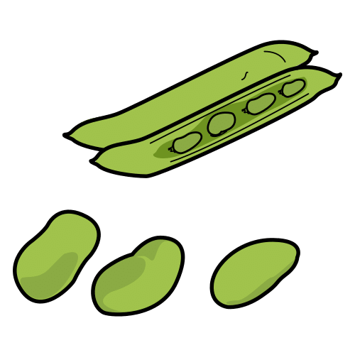 broad bean