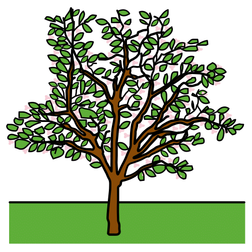 spring tree