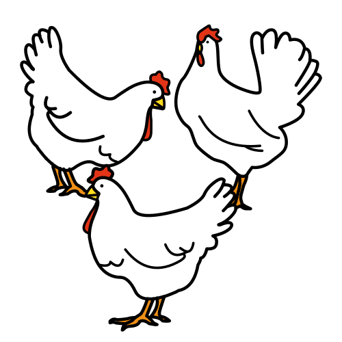 poultry