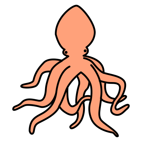 octopus