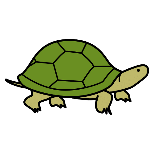 tortuga