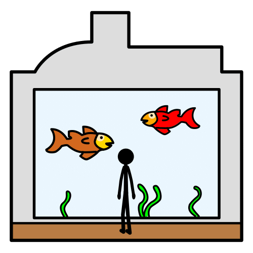 aquarium