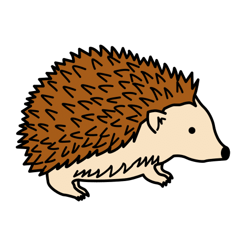 hedgehog