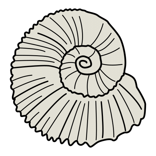 ammonite in ARASAAC · Global Symbols