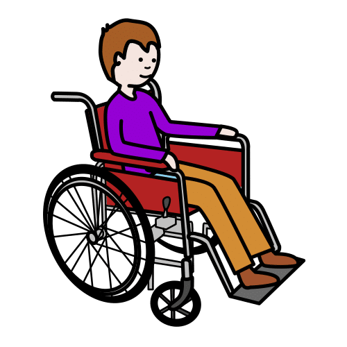 motorische handicap