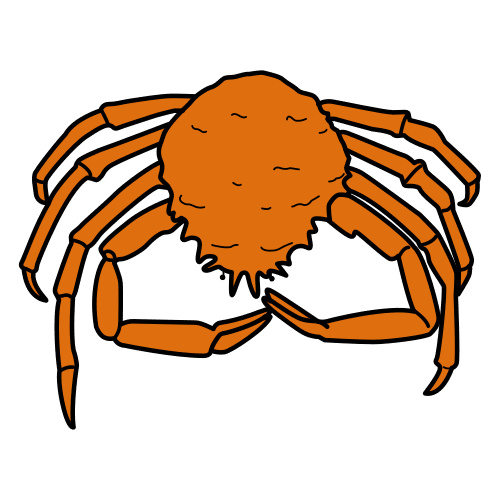 spider crab