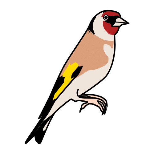 goldfinch