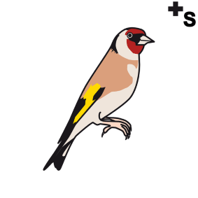 Goldfinches