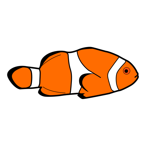 clownfish