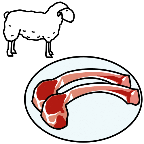 lamb flesh