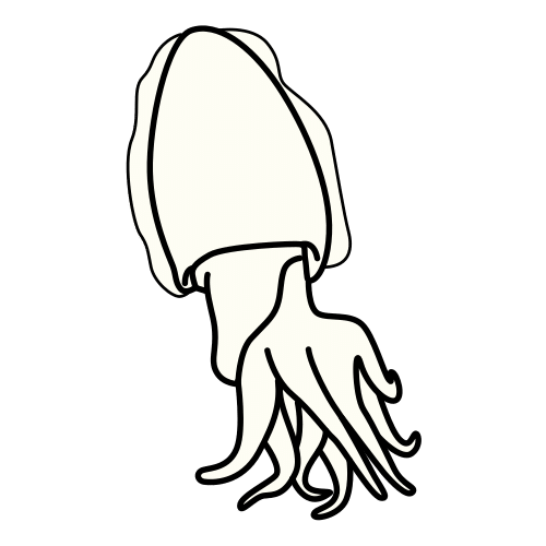 cuttlefish