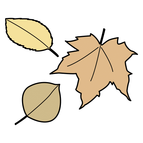 dry leaves