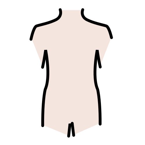 torso
