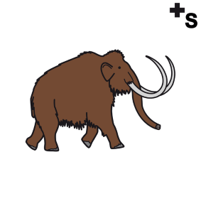 Mammoths