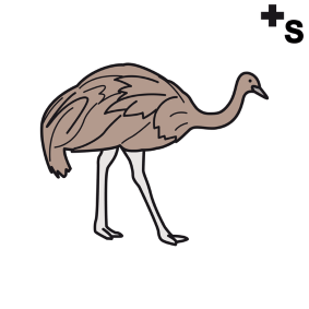 rheas