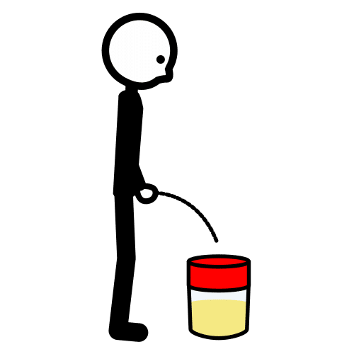 anÃ¡lisis de orina