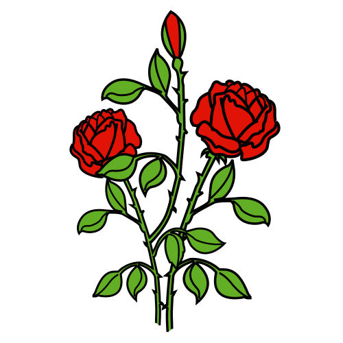 rosebush