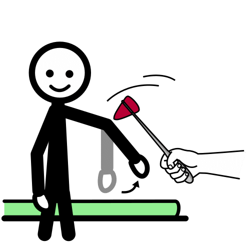 exploración de reflejos