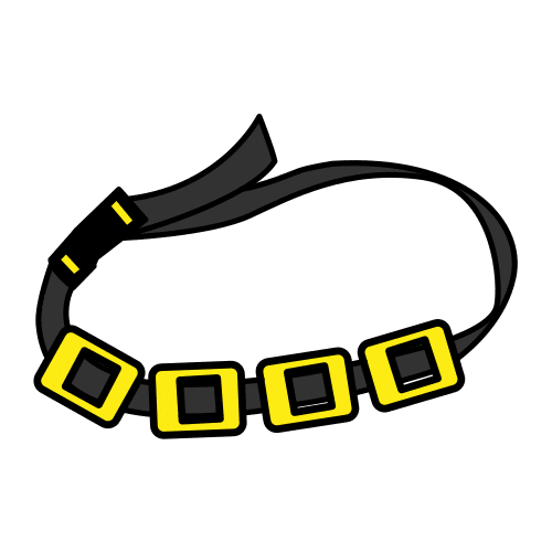 scuba weight belt