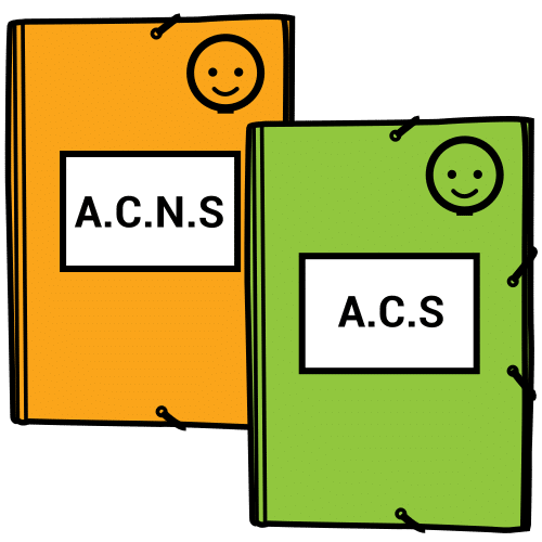 curriculum adaptation