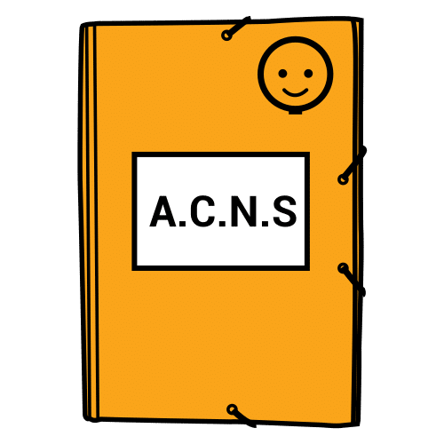 curriculum adaptation