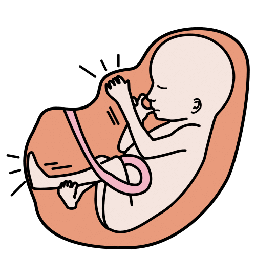 fetal movement