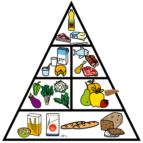 food pyramid