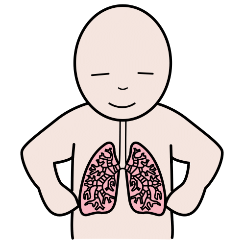 lung maturation