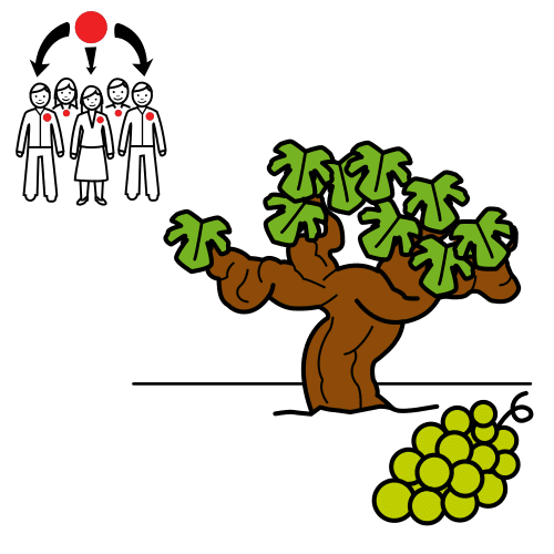 asociaciÃ³n vinÃ­cola