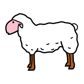 ovca