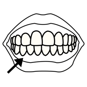 зуби