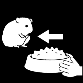 Hamster Eten Geven