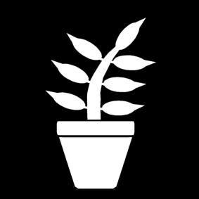 Kamerplant