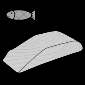 Zalmfilet