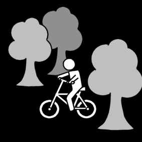 Fietsen Bos