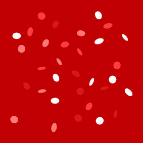 Confetti