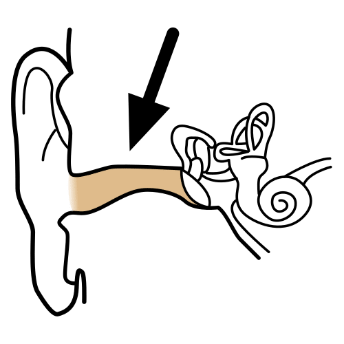ear canal