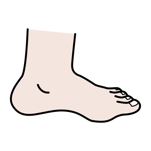 foot