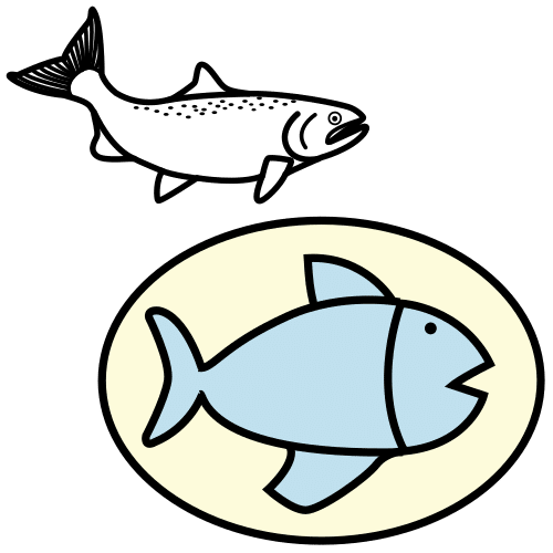 salmÃ³n