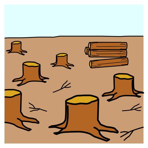 felled forest