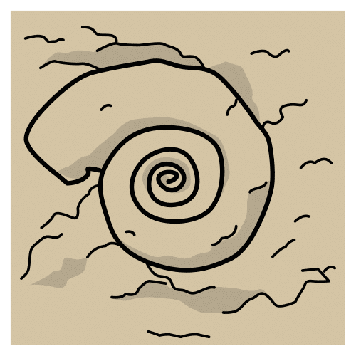 fossil